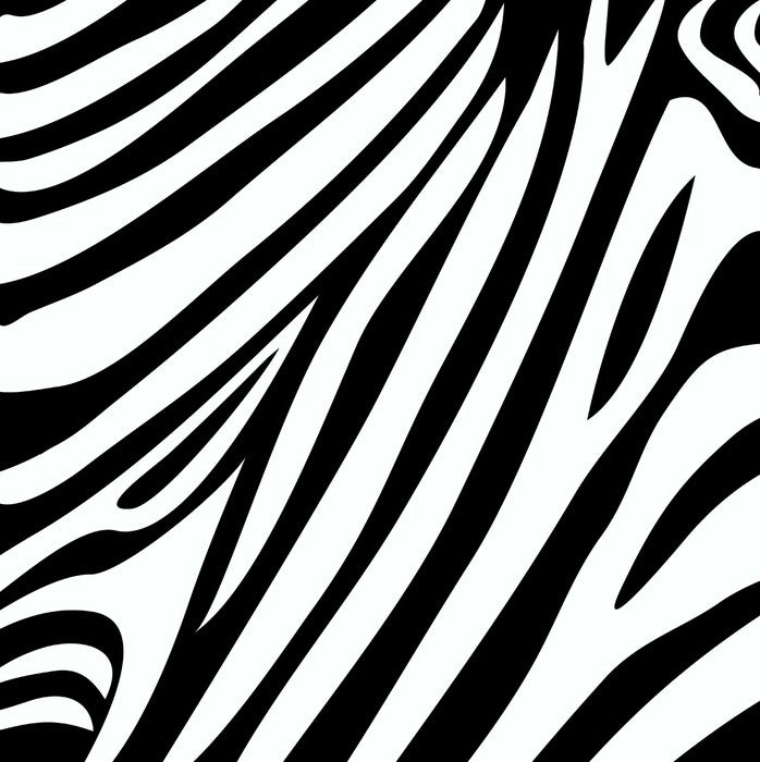 Animal Print