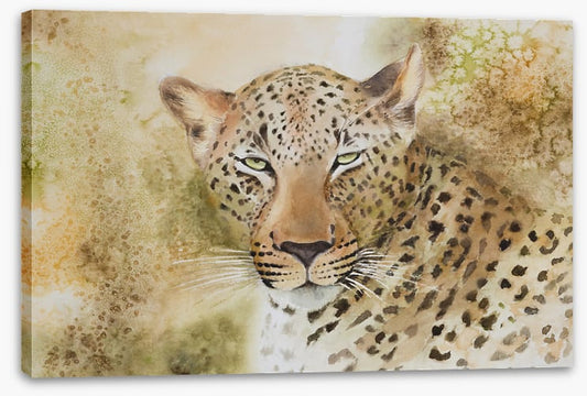 Languorous leopard