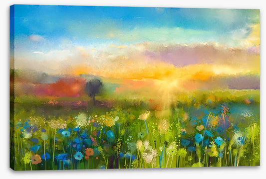 Wildflower meadow at sunset