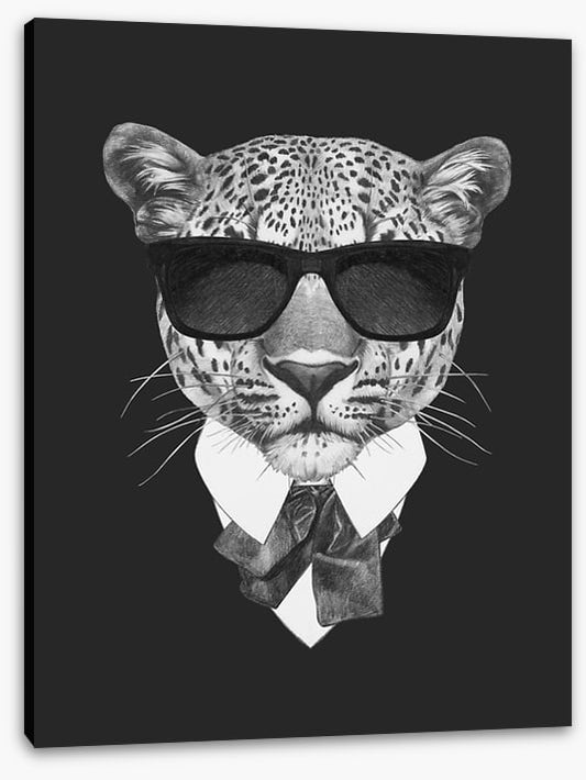 Suave leopard