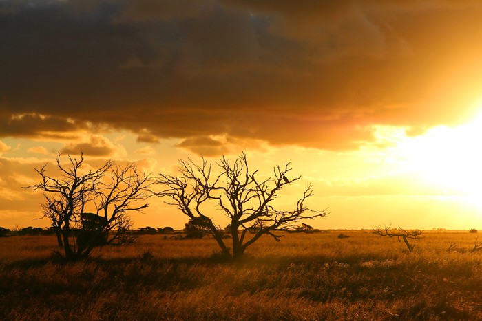 Breaking the drought