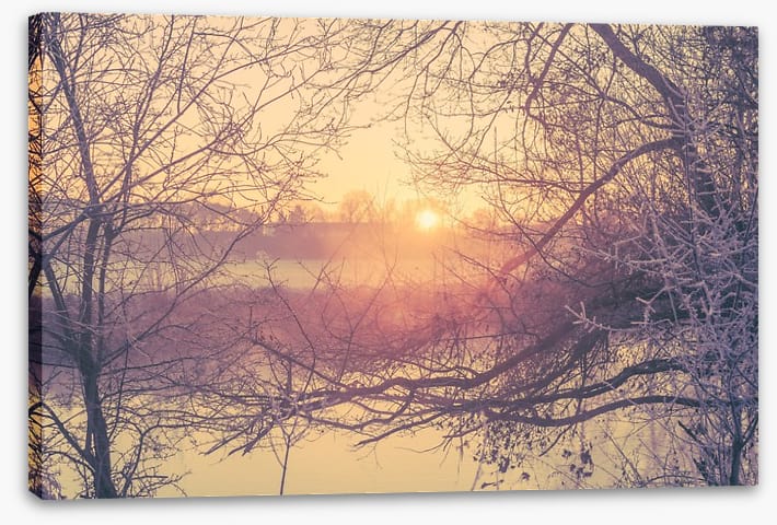 Glacé branch sunrise