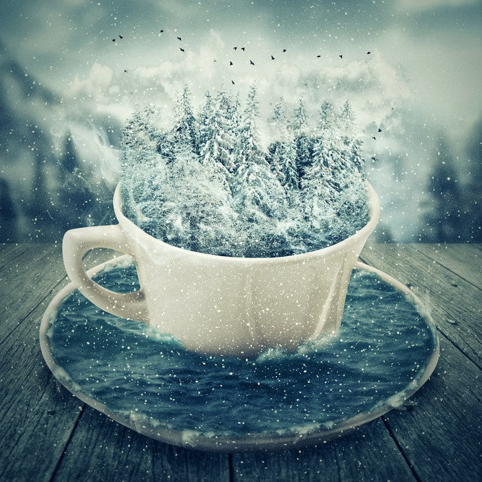 A cup of winter