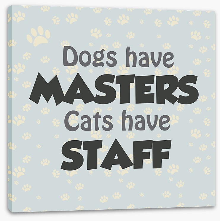 Cats and dogs