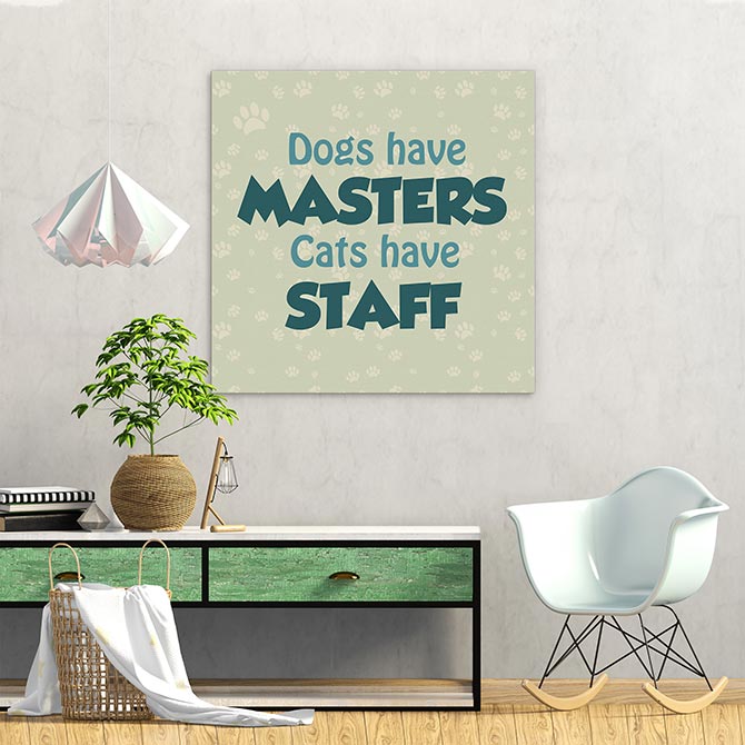 Cats and dogs