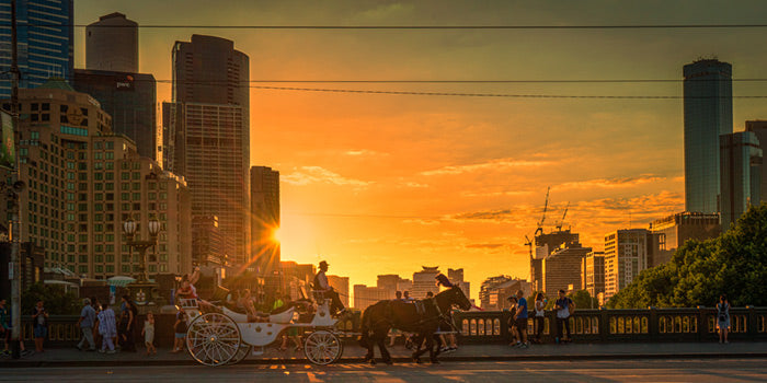 Princess sunset