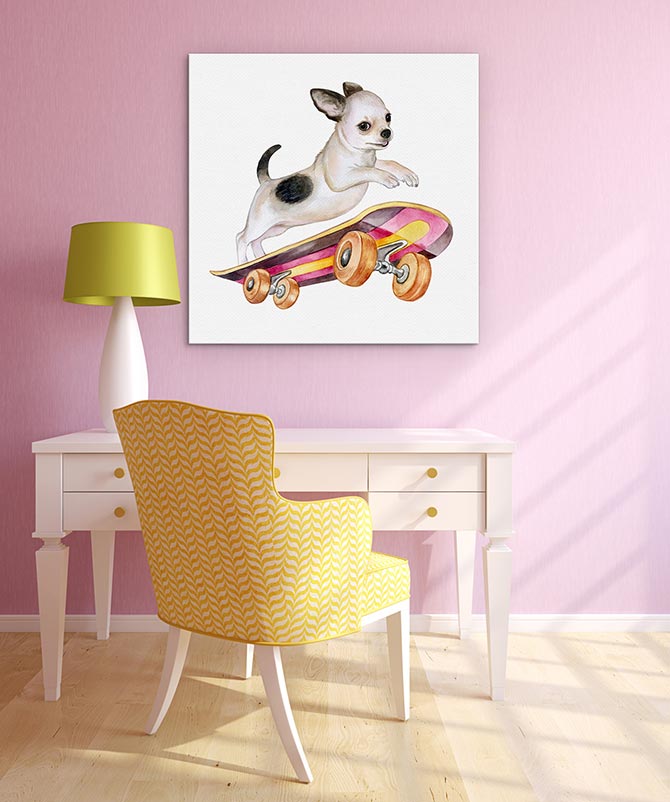 Skateboard chihuahua