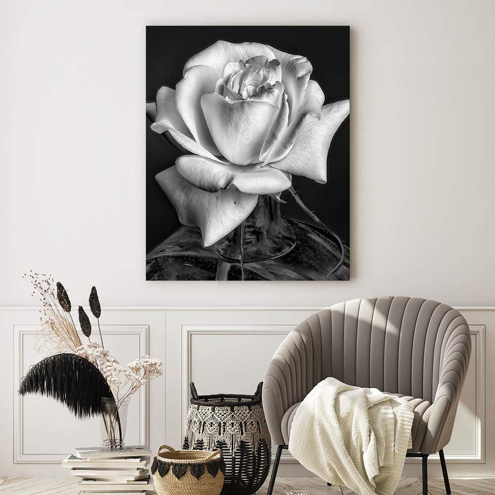 The white rose