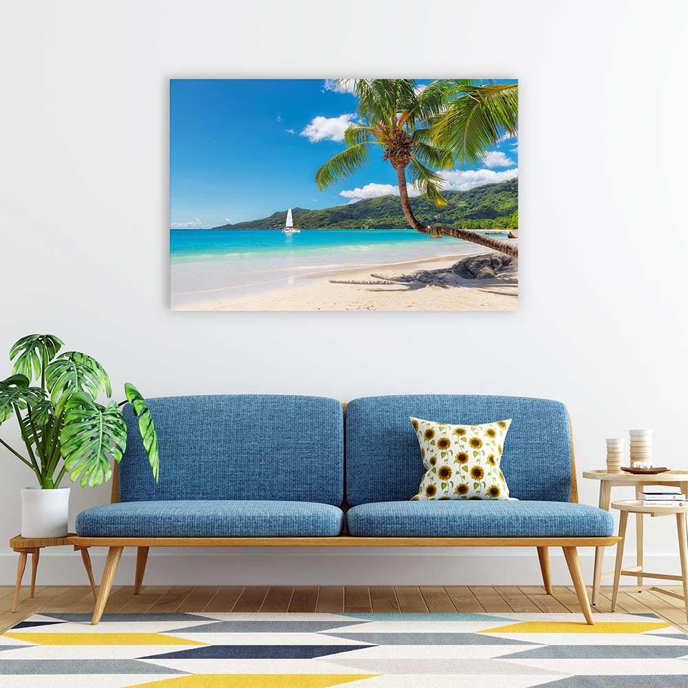 Coconut paradiso