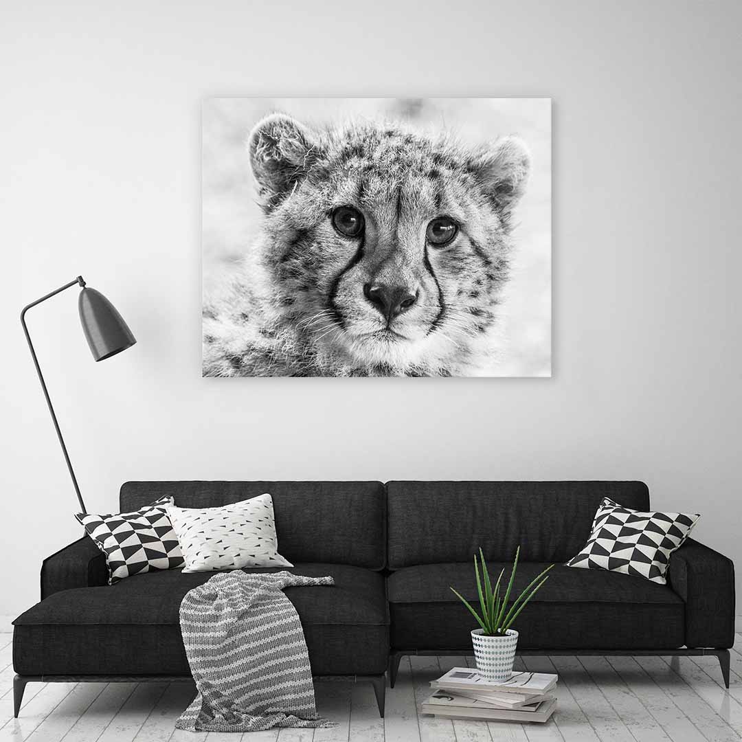 Little cheetah