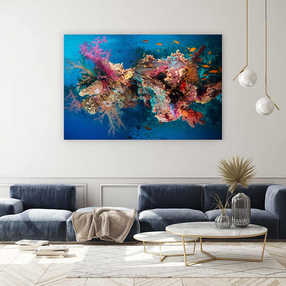Net fire corals