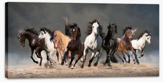 Eight galloping horses