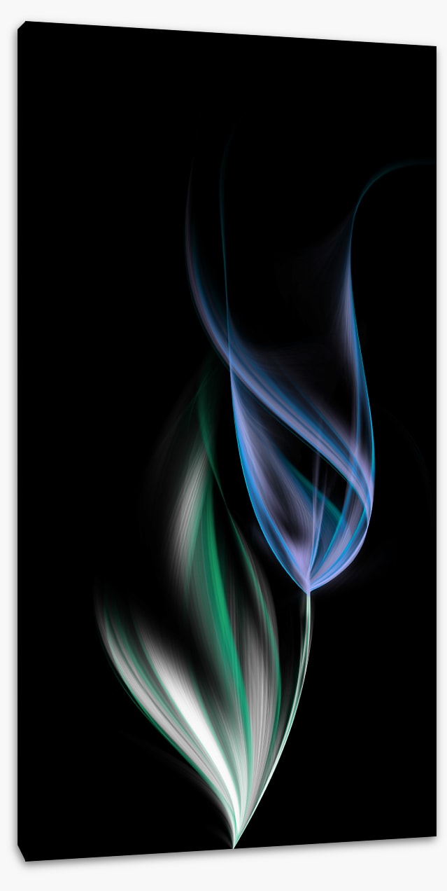 One blue tulip (Custom)