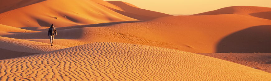 Desert Pictures by Wall Art Prints