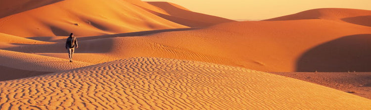 Desert Pictures by Wall Art Prints