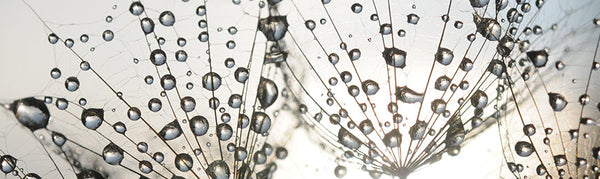 Fine Art Photography by Wall Art Prints