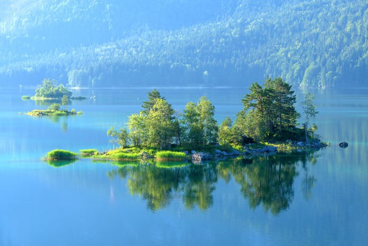 Bavarian summer