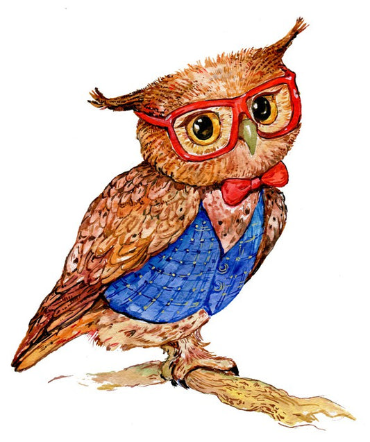 Owls