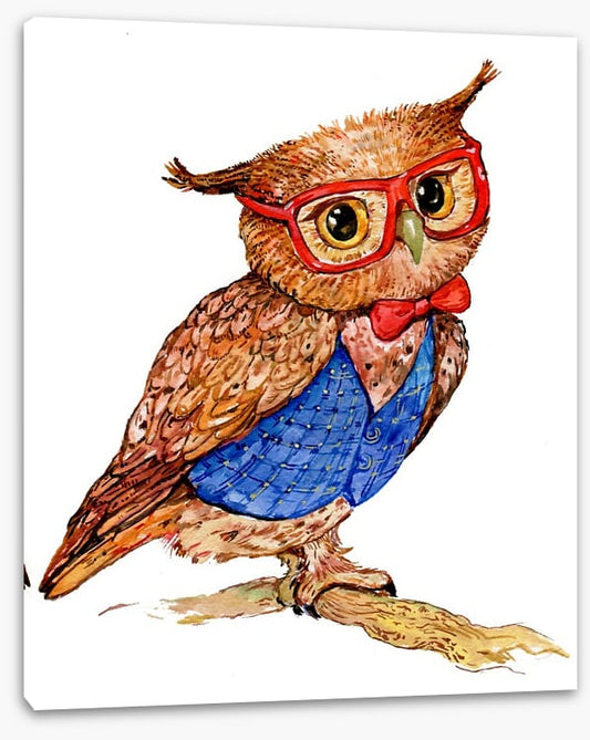 Owls