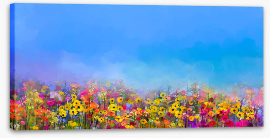 Cornflower sky