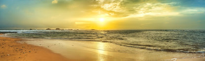 Golden tide panorama