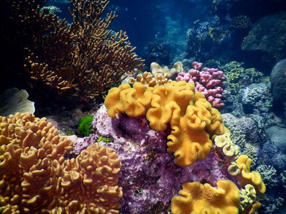 Underwater