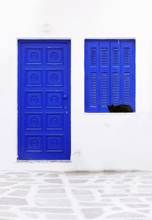 Blue window cat