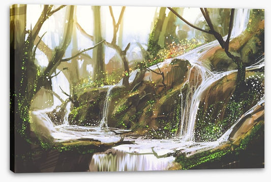 Cascades in the creek