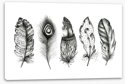 Monochrome quills