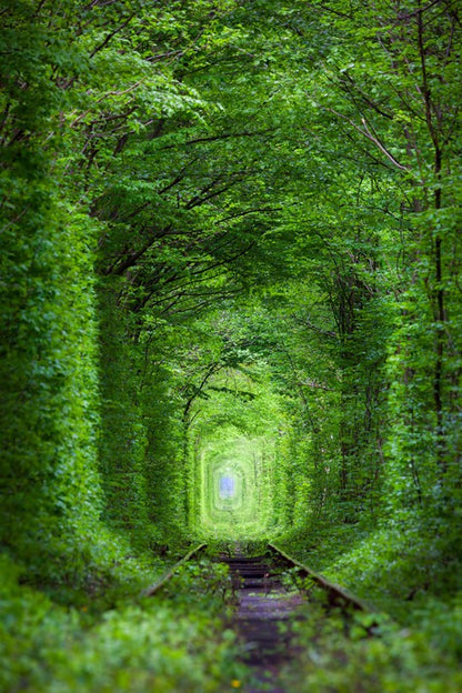 The Tunnel of Love, Ukraine