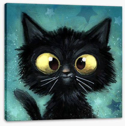 The black cat