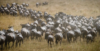 Africa