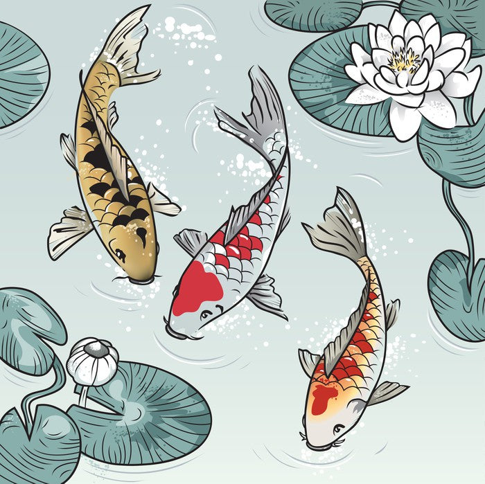 Kawaii koi fish