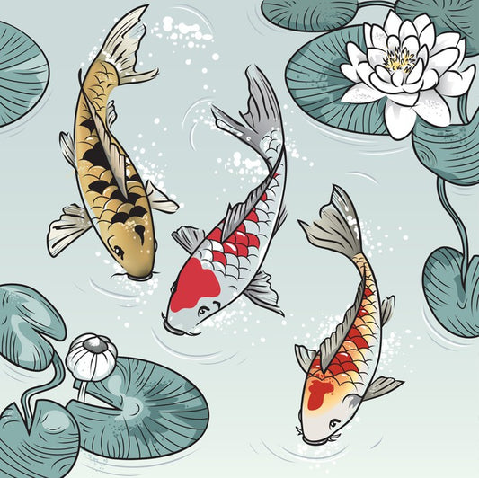 Kawaii koi fish