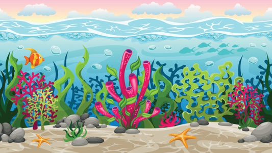 Between the coral