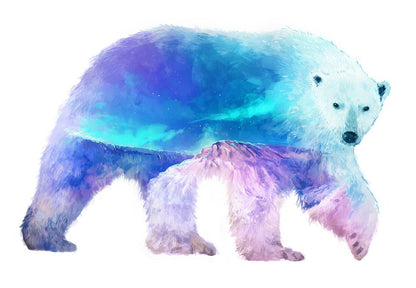 Polar aurora