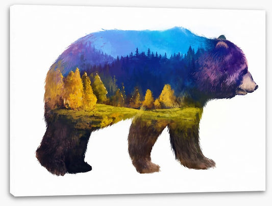 Bear of the mountains