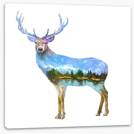 Deer of the lake