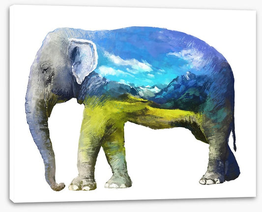 Elephant of the grasslands