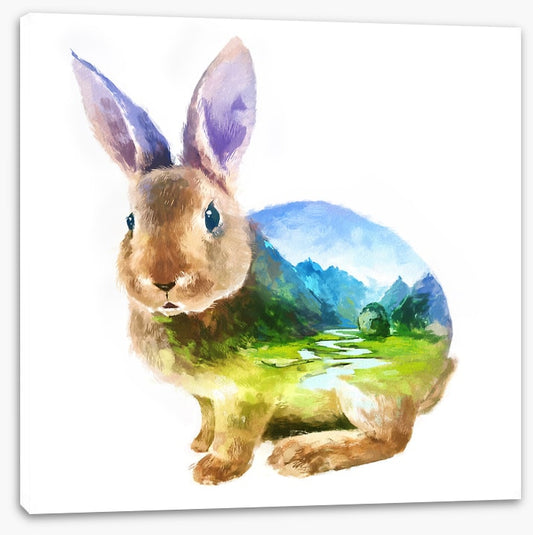 Rabbit of the valley