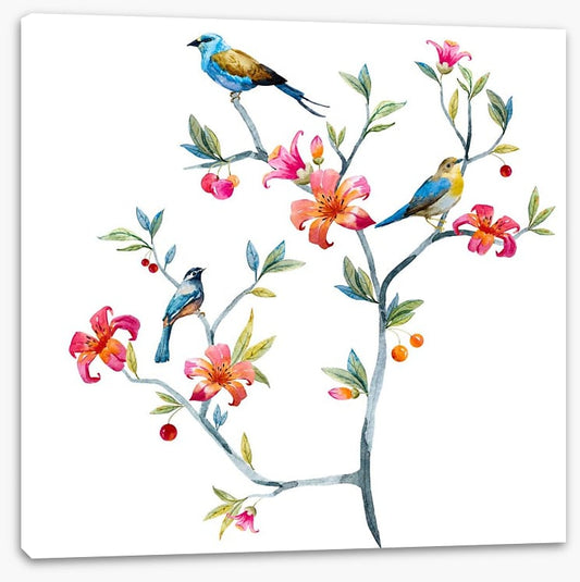 Birds on a branch