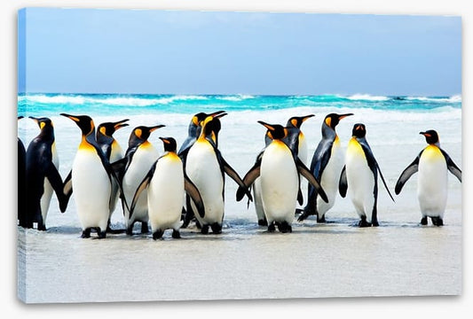 Kings of the beach