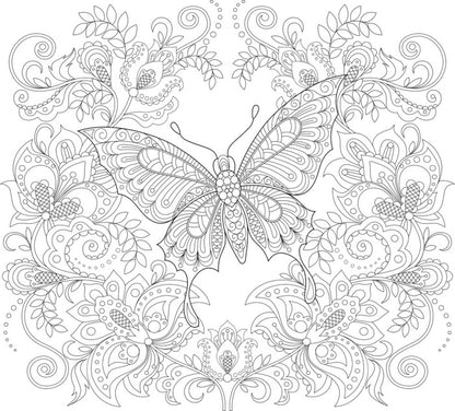 Colour me butterfly garden