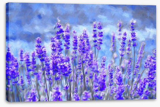 Lavender for luck