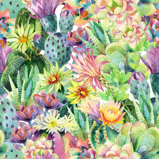 Desert bloom