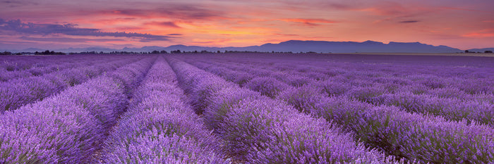 Meadow to mountains