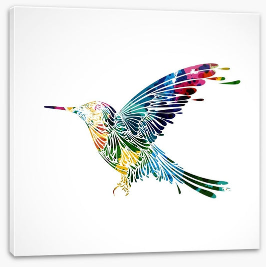 Rainbow hummingbird