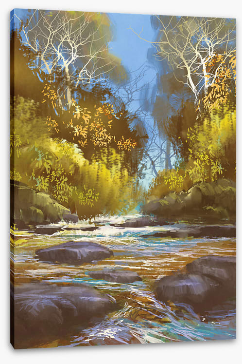 Rapids at rest