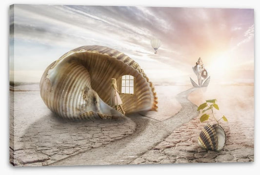 The shell dream