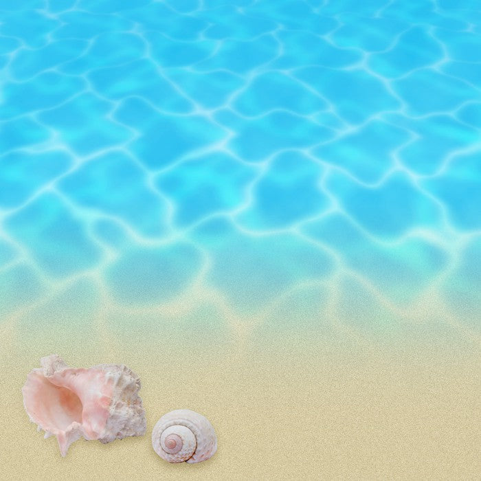 Seashell beach